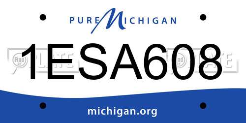 1ESA608 Michigan License Plate