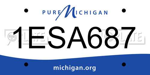 1ESA687 Michigan License Plate