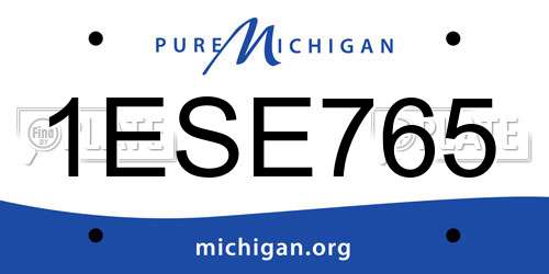 1ESE765 Michigan License Plate