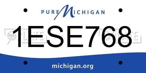 1ESE768 Michigan License Plate