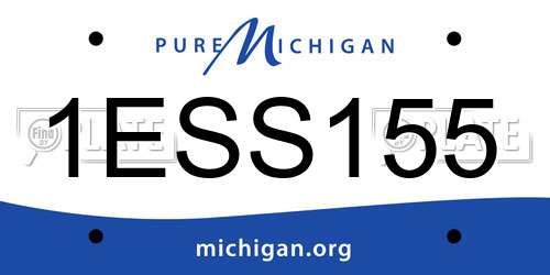 1ESS155 Michigan License Plate