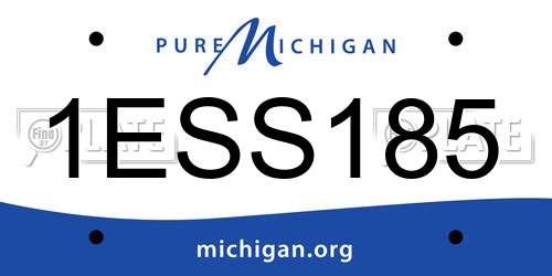 1ESS185 Michigan License Plate