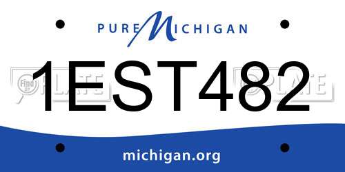 1EST482 Michigan License Plate