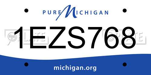 1EZS768 Michigan License Plate