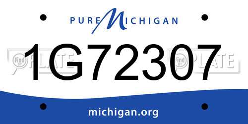1G72307 Michigan License Plate