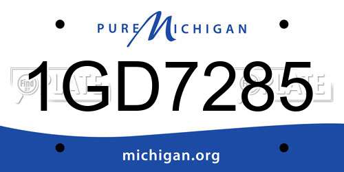 1GD7285 Michigan License Plate
