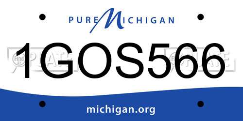 1GOS566 Michigan License Plate