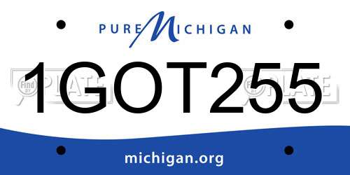 1GOT255 Michigan License Plate