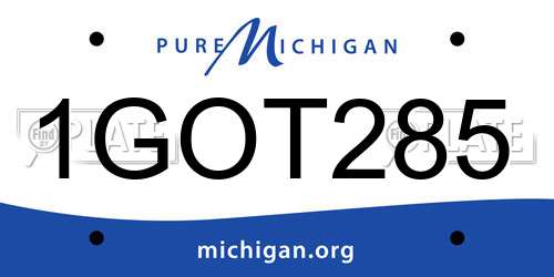 1GOT285 Michigan License Plate