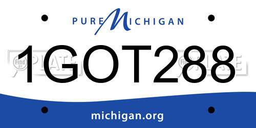1GOT288 Michigan License Plate