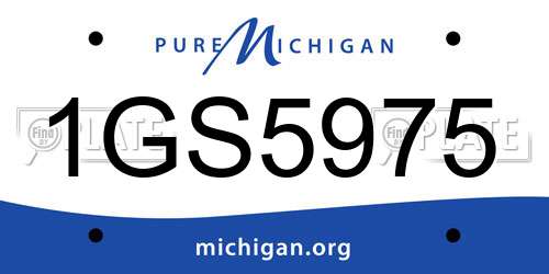 1GS5975 Michigan License Plate