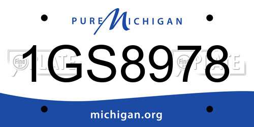 1GS8978 Michigan License Plate