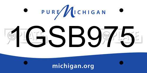 1GSB975 Michigan License Plate