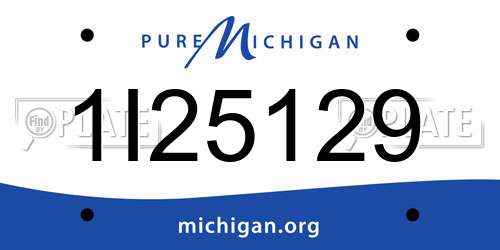 1I25129 Michigan License Plate