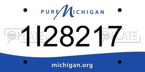 1I28217 Michigan License Plate