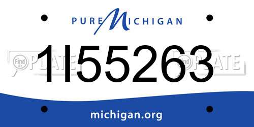 1I55263 Michigan License Plate