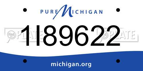 1I89622 Michigan License Plate