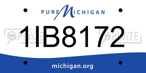 1IB8172 Michigan License Plate