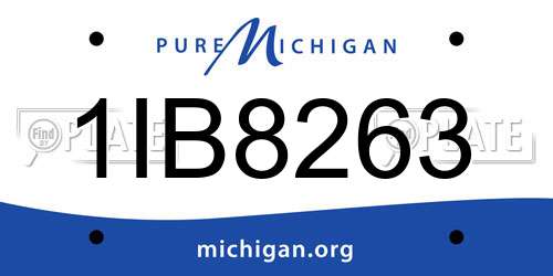 1IB8263 Michigan License Plate