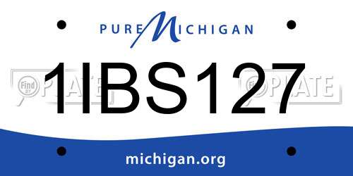 1IBS127 Michigan License Plate
