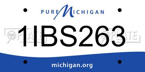 1IBS263 Michigan License Plate