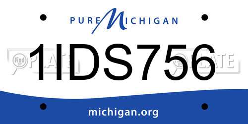 1IDS756 Michigan License Plate