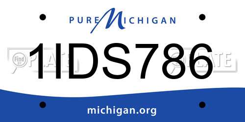1IDS786 Michigan License Plate
