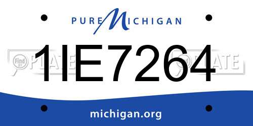 1IE7264 Michigan License Plate