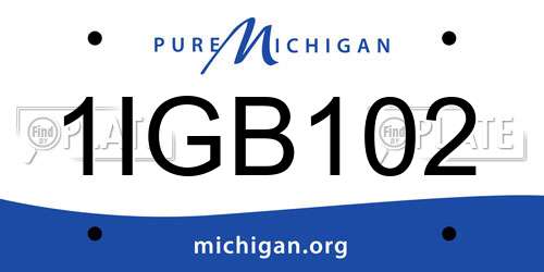 1IGB102 Michigan License Plate