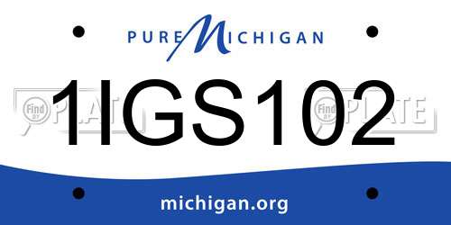 1IGS102 Michigan License Plate