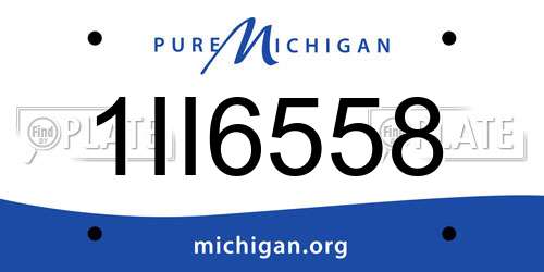 1II6558 Michigan License Plate