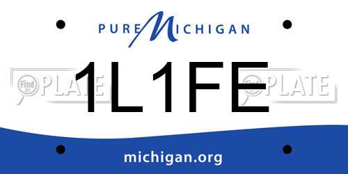 1L1FE Michigan License Plate