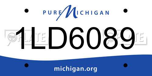 1LD6089 Michigan License Plate