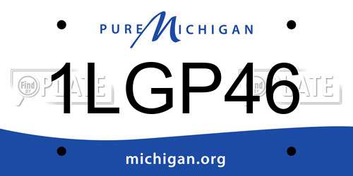 1LGP46 Michigan License Plate