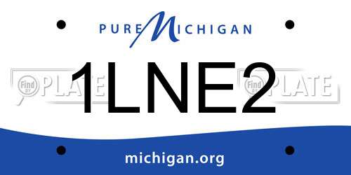 1LNE2 Michigan License Plate