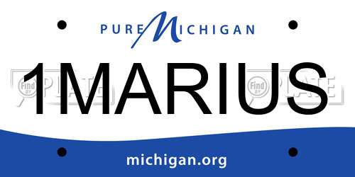 1MARIUS Michigan License Plate