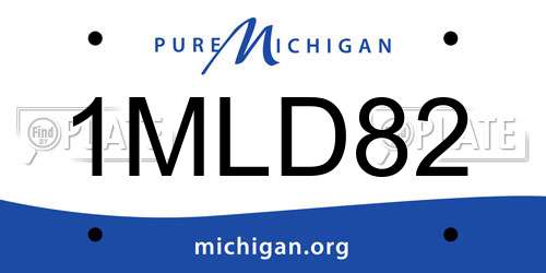 1MLD82 Michigan License Plate
