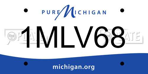 1MLV68 Michigan License Plate