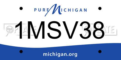 1MSV38 Michigan License Plate