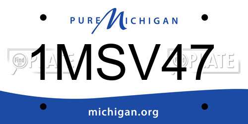 1MSV47 Michigan License Plate