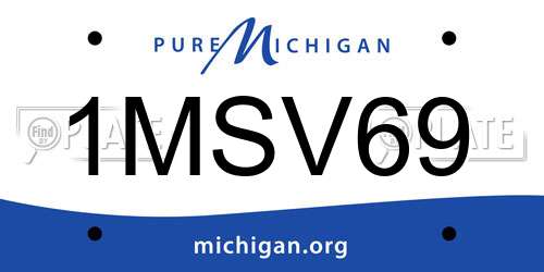 1MSV69 Michigan License Plate