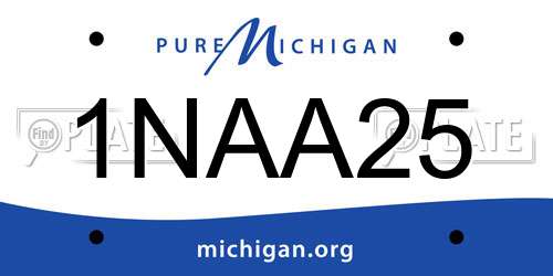 1NAA25 Michigan License Plate