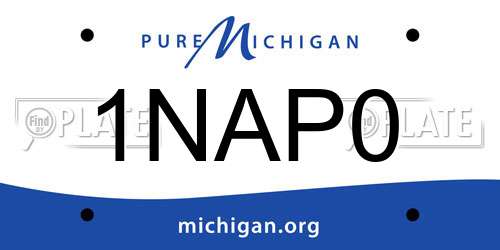 1NAP0 Michigan License Plate
