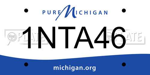 1NTA46 Michigan License Plate