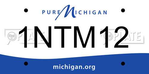 1NTM12 Michigan License Plate