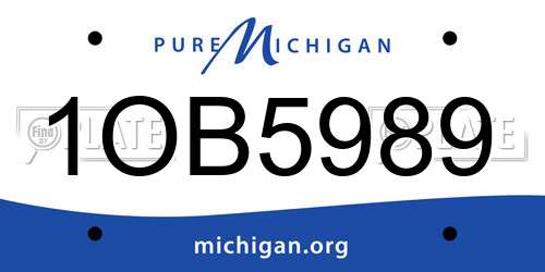 1OB5989 Michigan License Plate