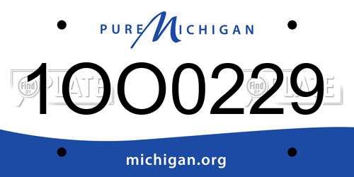 1OO0229 Michigan License Plate