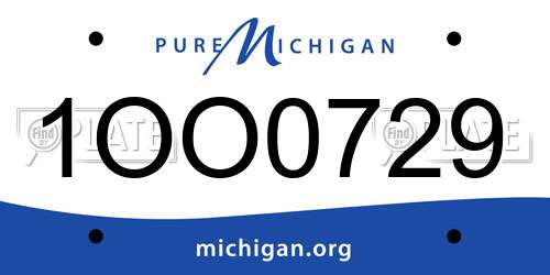 1OO0729 Michigan License Plate
