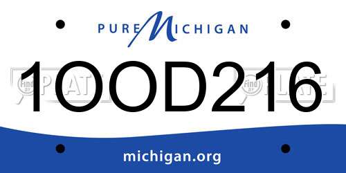 1OOD216 Michigan License Plate