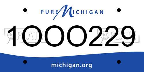 1OOO229 Michigan License Plate